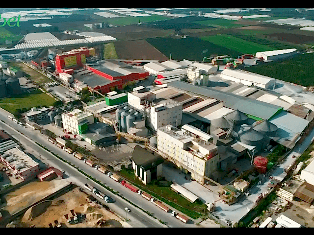 Vlcsnap 2022 01 21 17h10m00s384